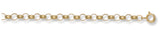 9ct Yellow Gold Round Belcher Chain