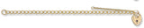 9ct Yellow Gold Curb & Padlock 7" Charm Bracelet (5g)
