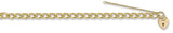 9ct Yellow Gold Curb & Padlock 7" Charm Bracelet (22g)